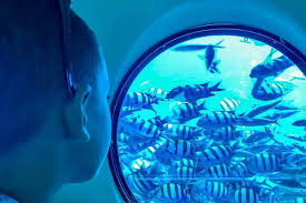 Semi Submarine Trip From Marsa Alam
