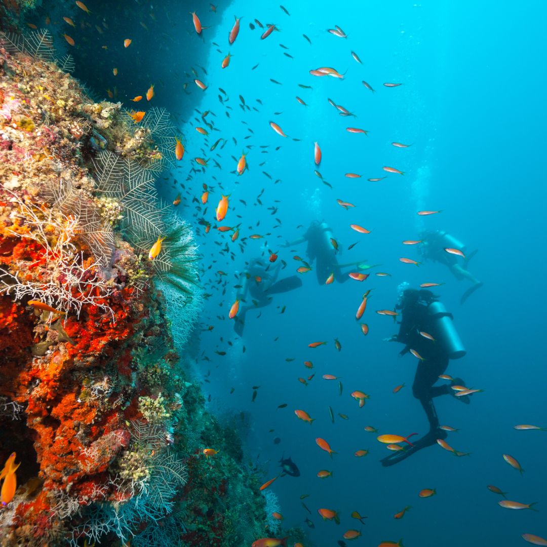 Marsa Alam PADI Diving, Kite Surfing, Sahara Quad-Biking 3 Days Adventure Tour 